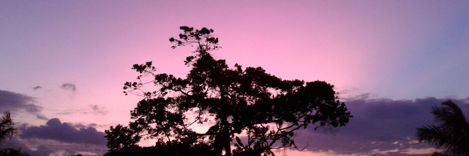 maydheie's profile banner image