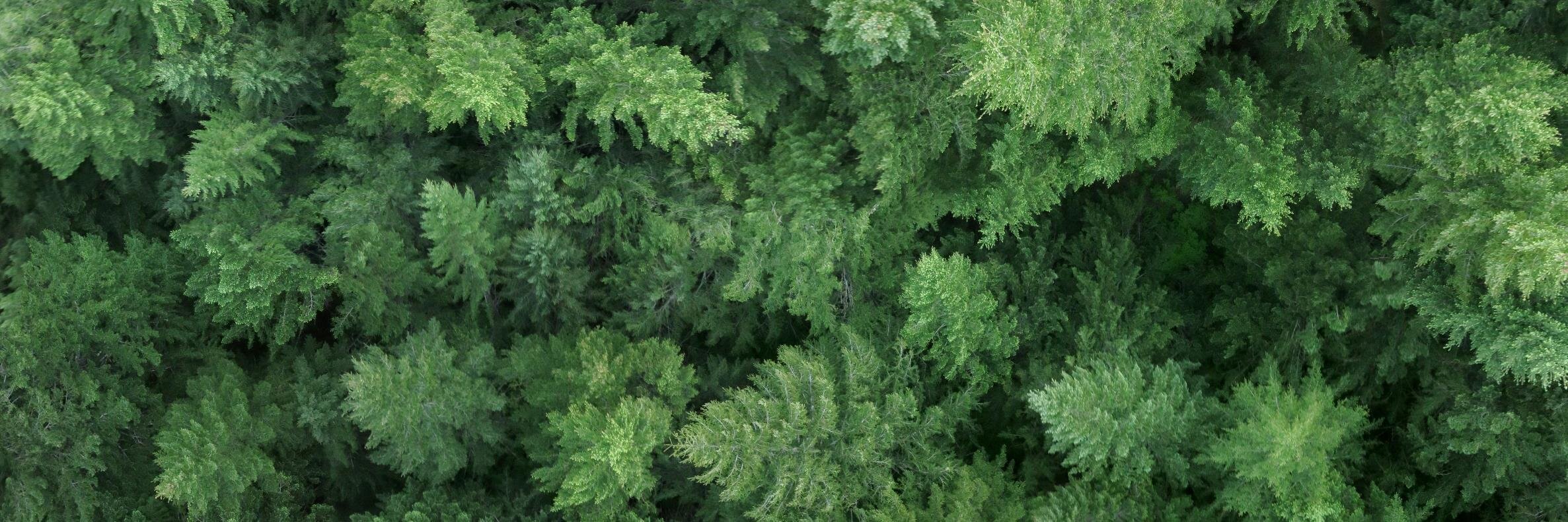 Dr. Adam Erickson 🦾🧠 {e/acc} 🇺🇸 banner