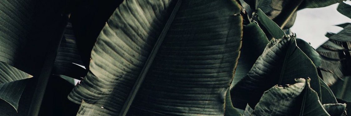 ujuu_media's profile banner image
