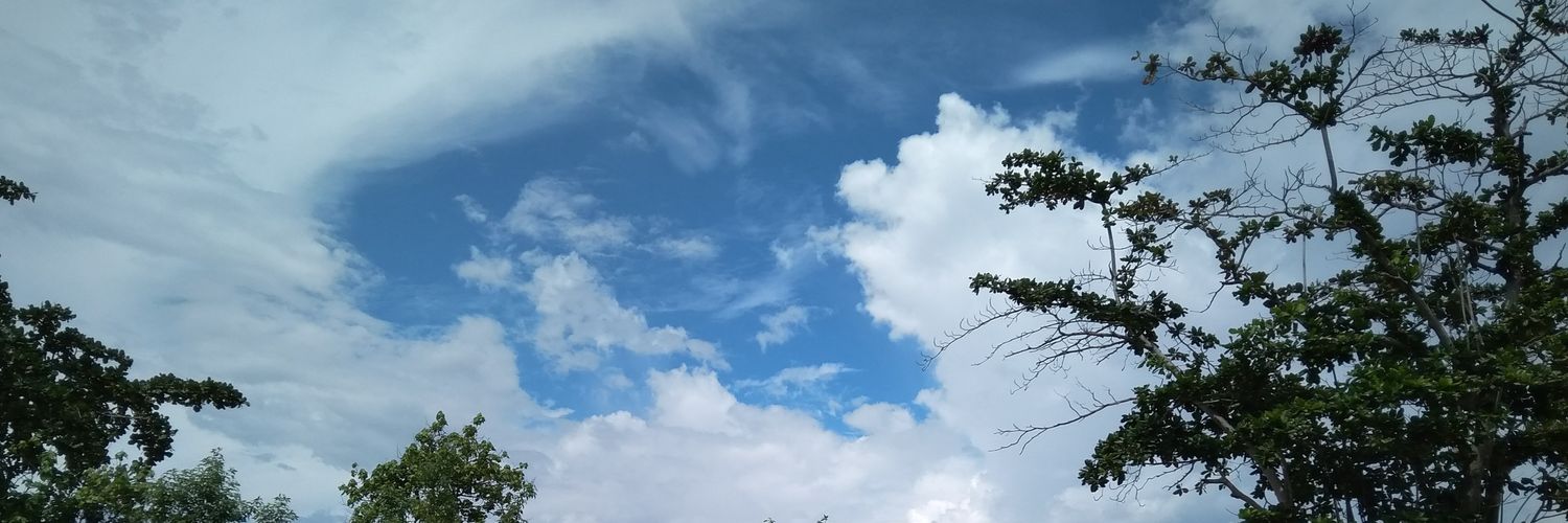 burtidore1's profile banner image