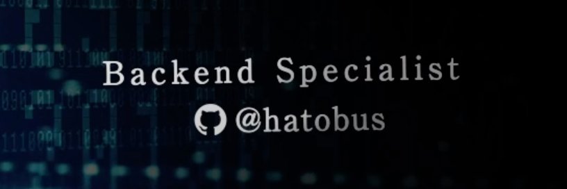 flying_hato_bus's profile banner image