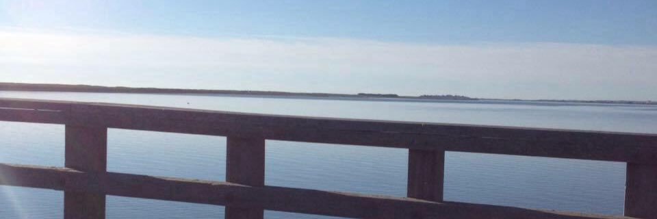 Erin_M33's profile banner image