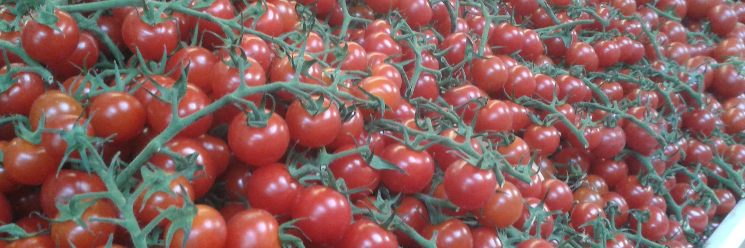 thefridgedeli's profile banner image
