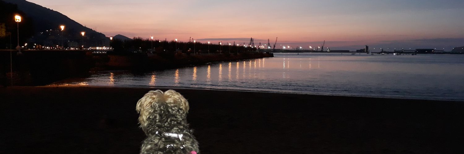 begydb's profile banner image