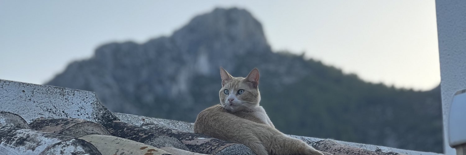 AroaBermudo's profile banner image