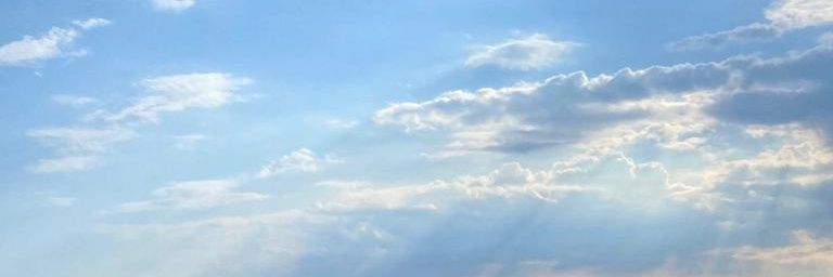bibulbizarre's profile banner image