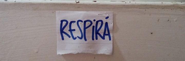 puchito en la plaza banner