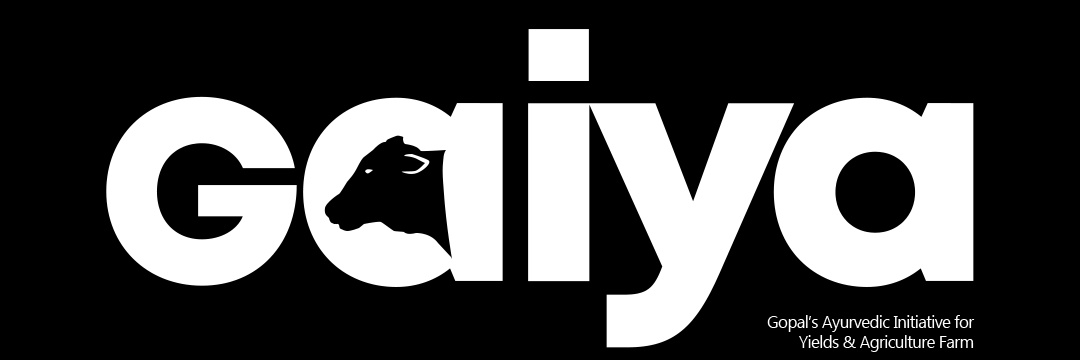 ProjectGaiya's profile banner image