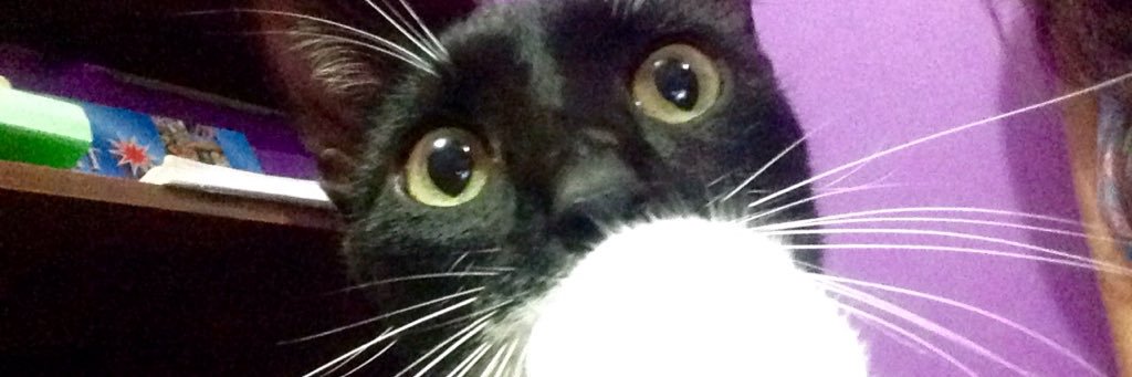 _c98_'s profile banner image