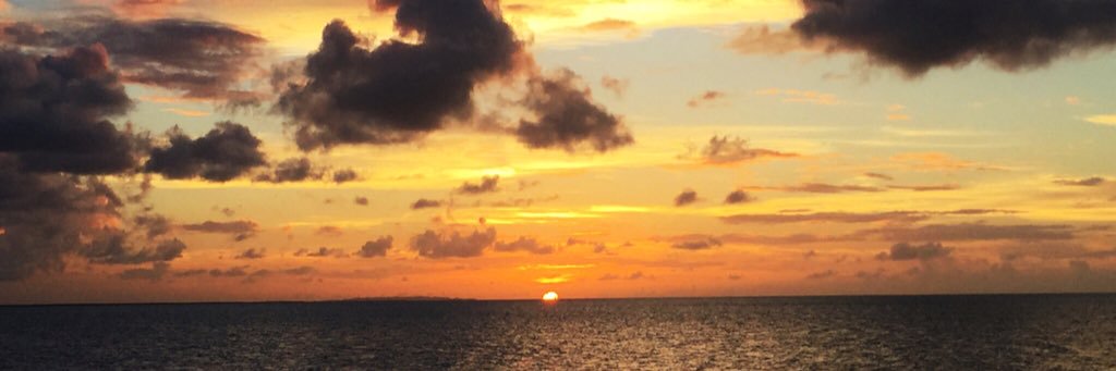 Ma_riieD's profile banner image