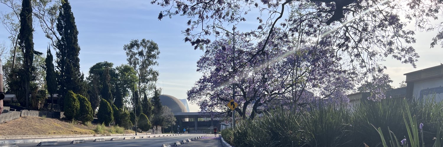 Marisol Serrano De La Paz banner