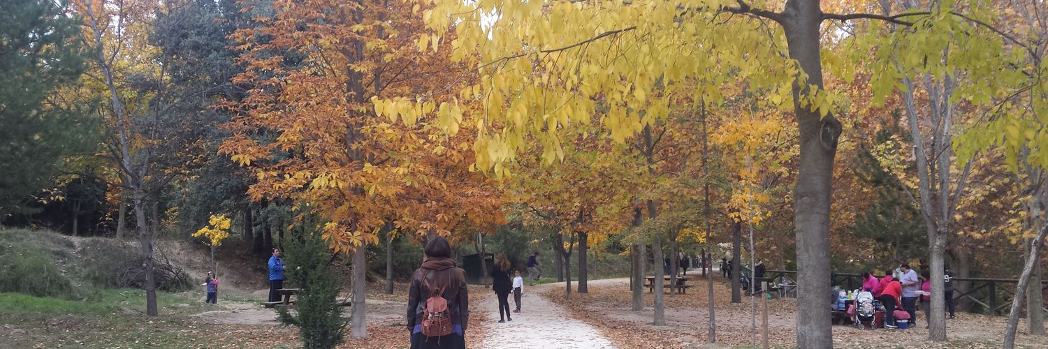 lau_517's profile banner image