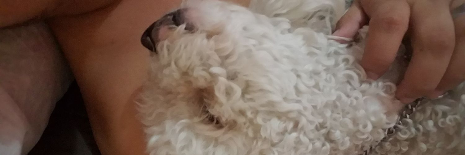 giuseppesoal's profile banner image