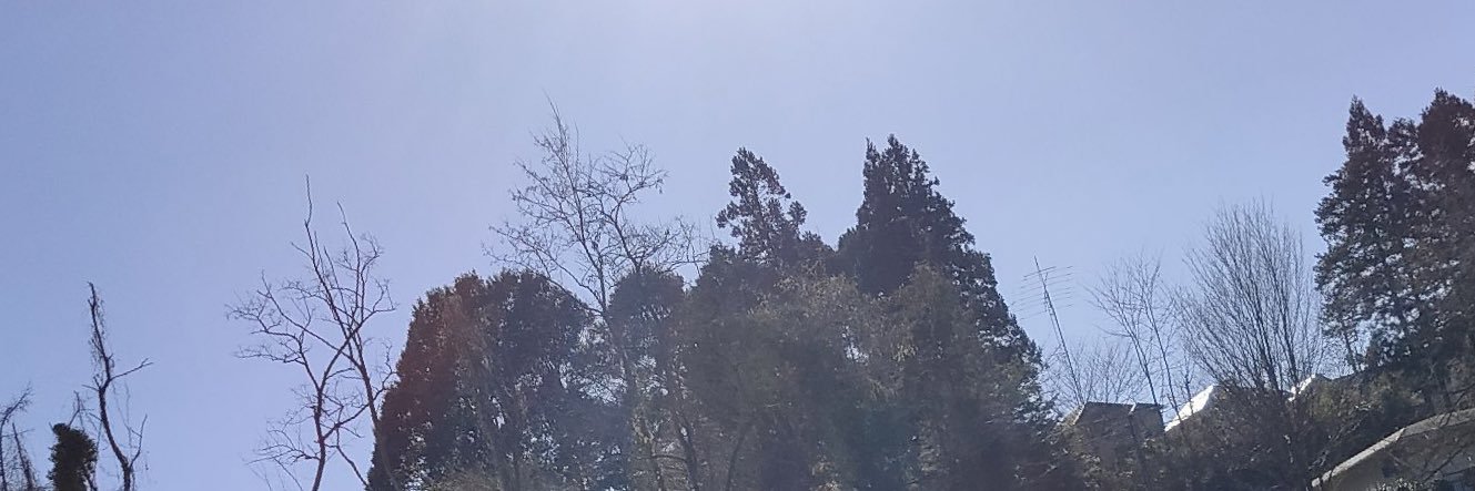 inumra's profile banner image