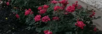 agh_gim's profile banner image