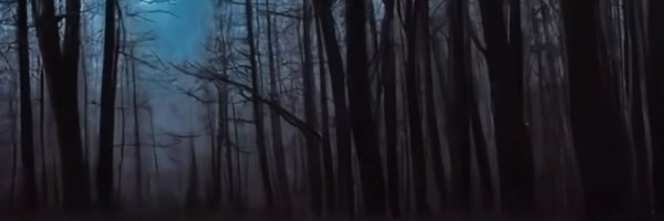 Badachr0 Profile Banner