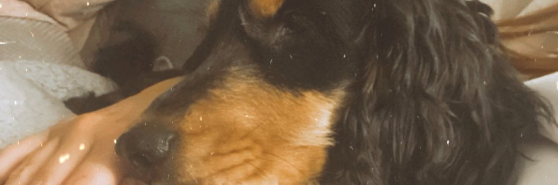 charrdowns's profile banner image