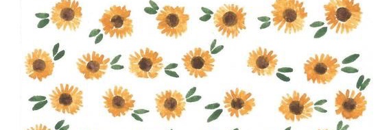 Cassidy Rhodes banner