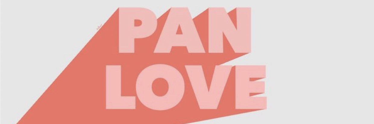 SalisburyPanhel's profile banner image