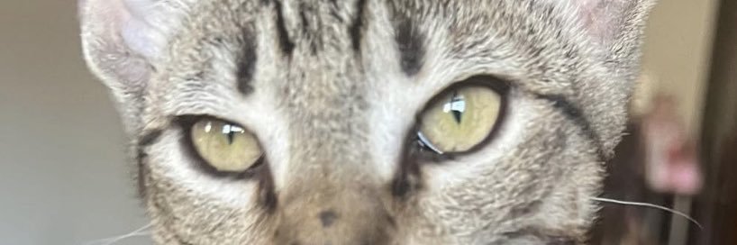 _Cassandra__C's profile banner image