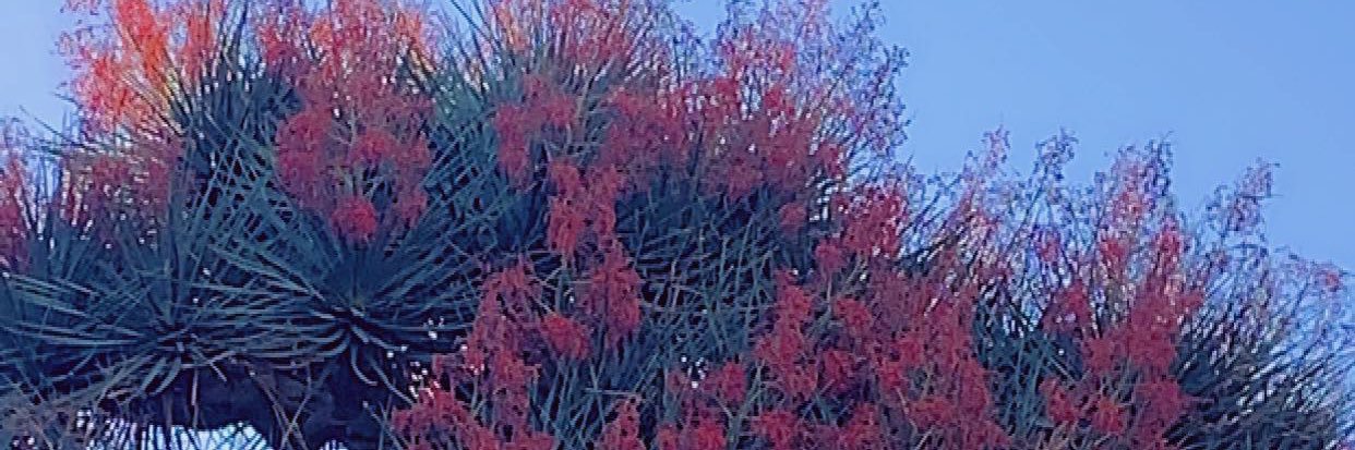 taif2685's profile banner image