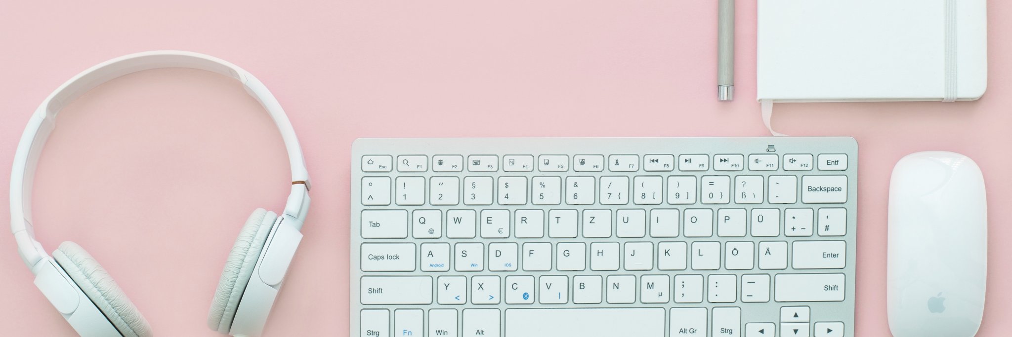 Erica Lynn Young banner