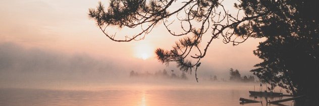 jjsxlva's profile banner image