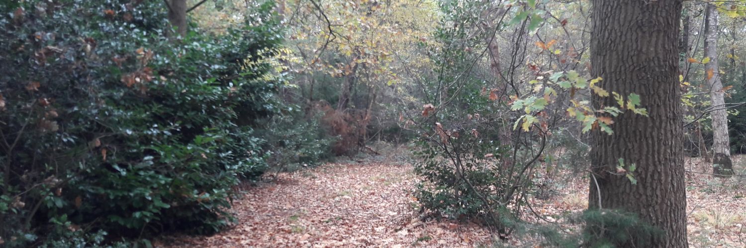 mathijs vromans banner