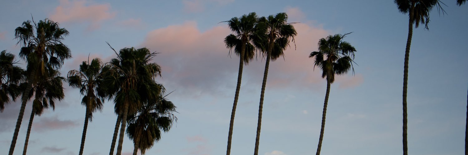 arucaaa's profile banner image