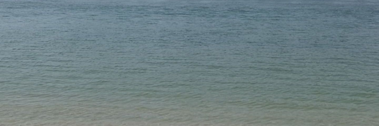 Shannon banner