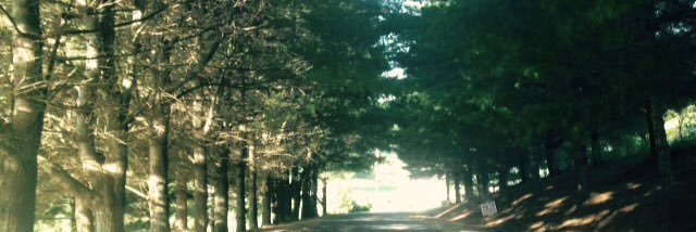 KevinFieldsR14's profile banner image