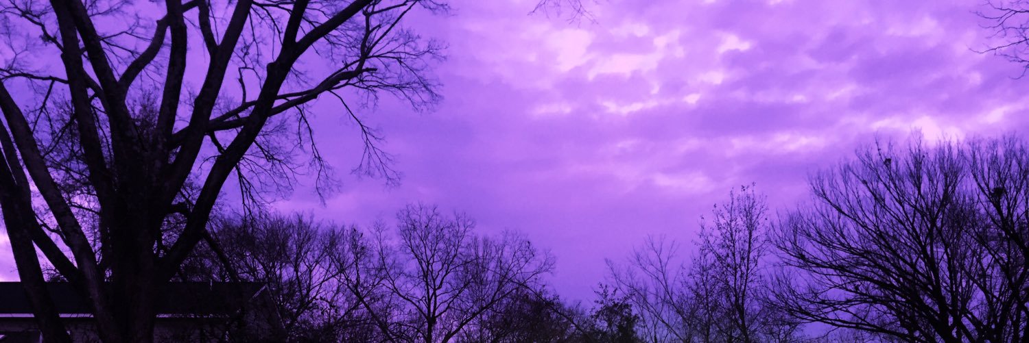 . banner
