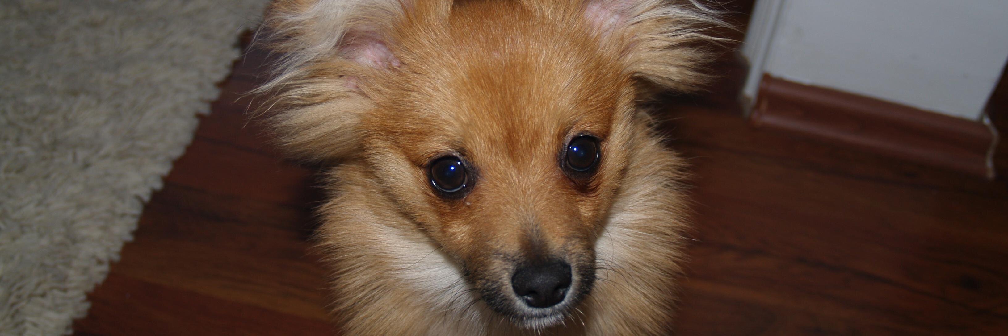 dora_222's profile banner image
