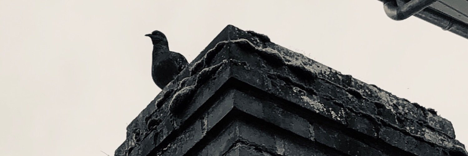 gaelletitepel's profile banner image