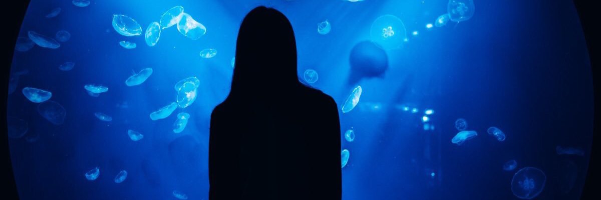 kait_rl's profile banner image