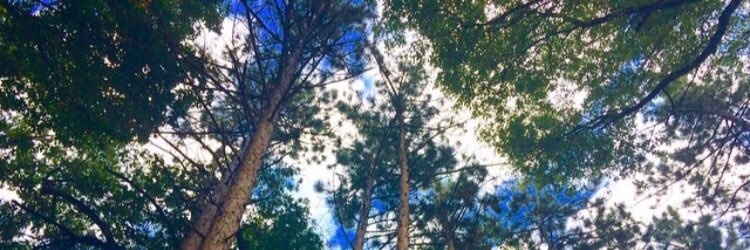 alexxandersonnn's profile banner image