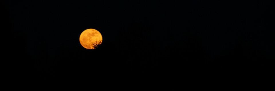 Kahlan_88's profile banner image