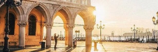 L_Paca's profile banner image