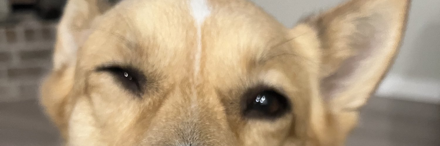 prissyellaa's profile banner image