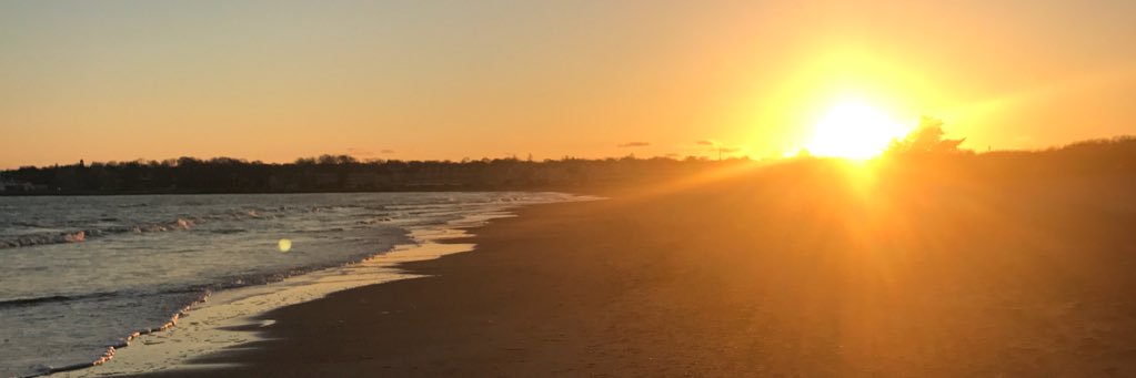 RosarioMeg's profile banner image