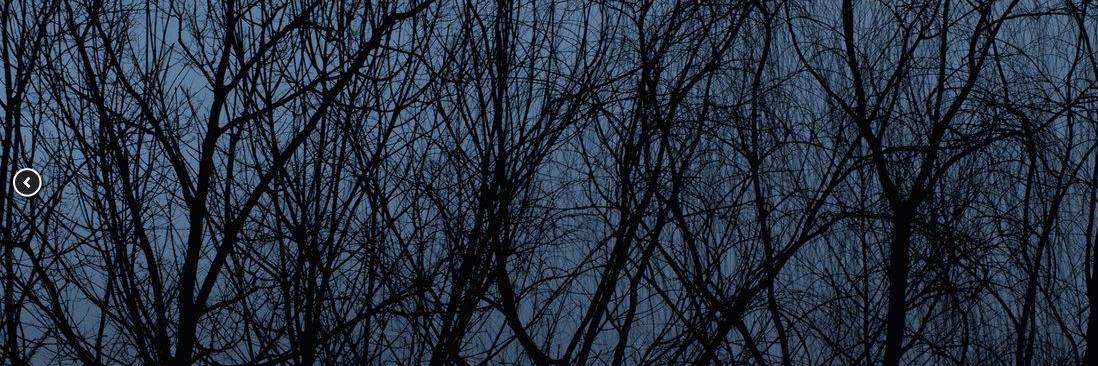 eworthing's profile banner image