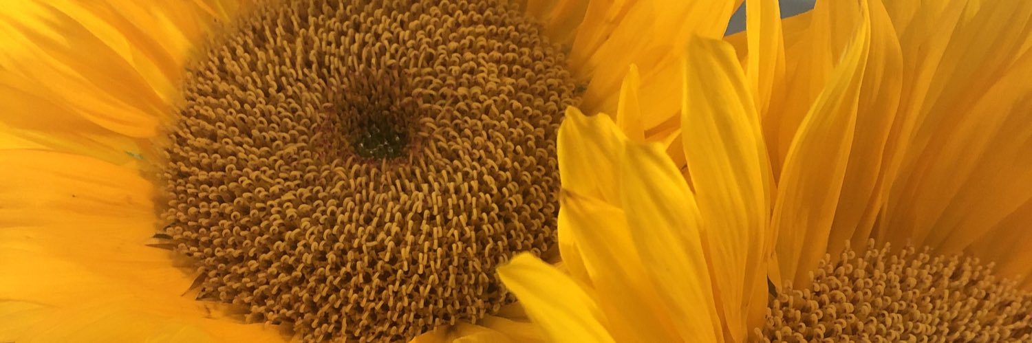 KristenRagan's profile banner image