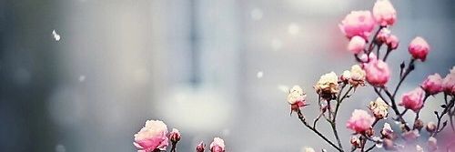 FH_Chiba's profile banner image
