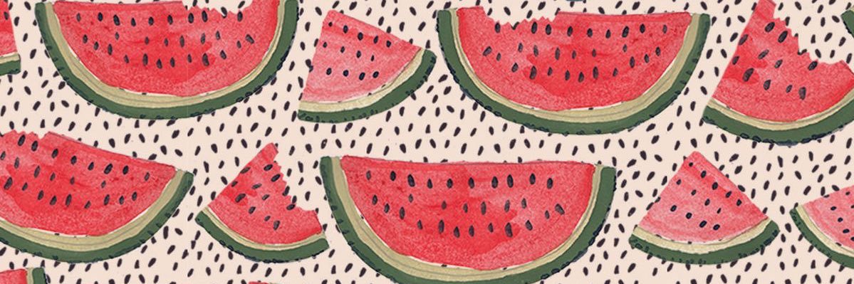 Dani R ༘⋆✿ 🍉 banner