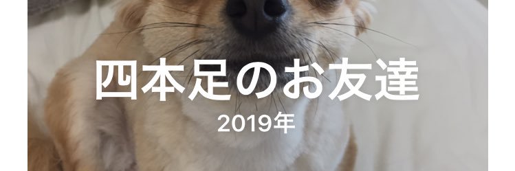 aymameono's profile banner image