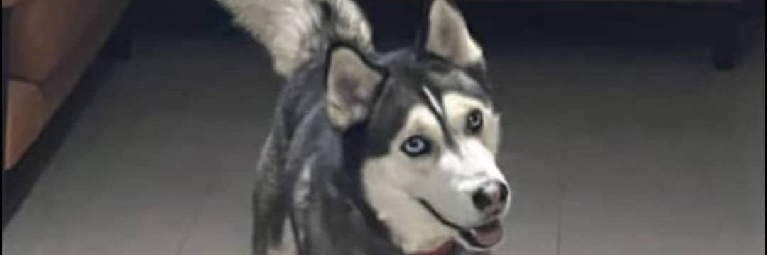 carla20204's profile banner image