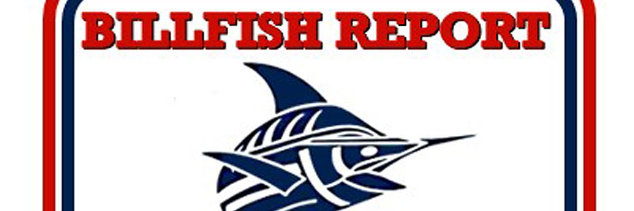 Billfish Report banner
