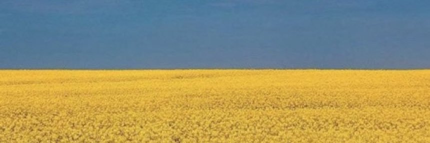 jackyvanpoucke's profile banner image