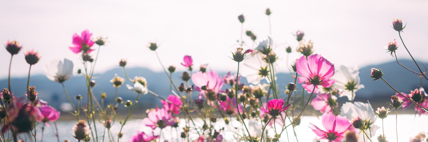 ide_photo's profile banner image