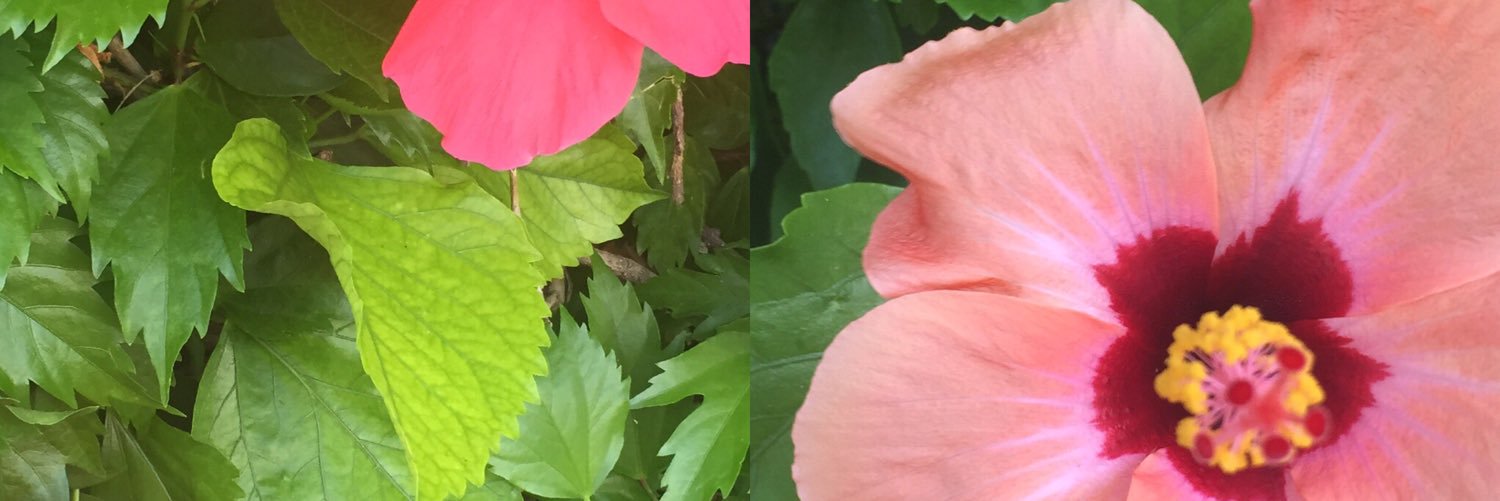 PetraEngberg's profile banner image